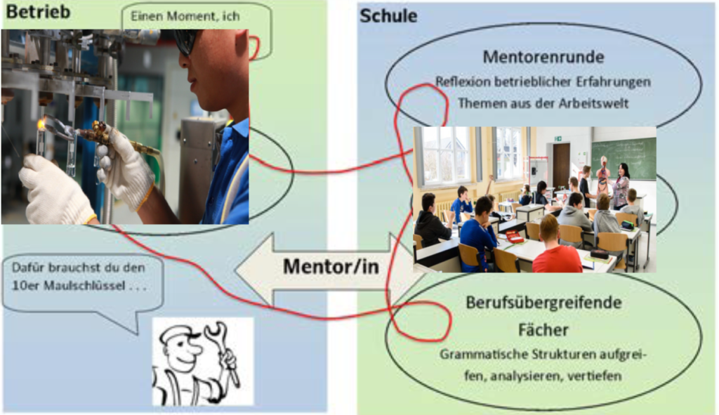 Schaubild zur Praxisgruppe: Lernen im Betrieb und in der Schule mit Mentorinnen und Mentoren.