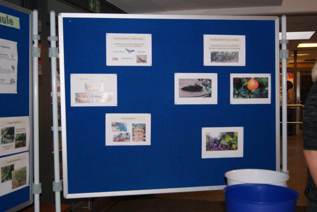 Stellwand mit Fotos aus dem Umweltunterricht.